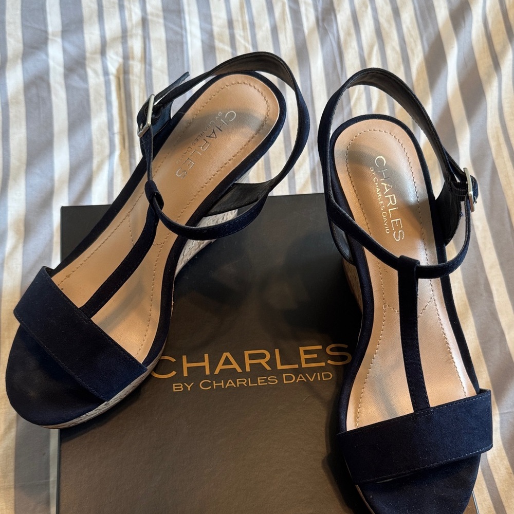 Charles by Charles David Women's Navy Wedges